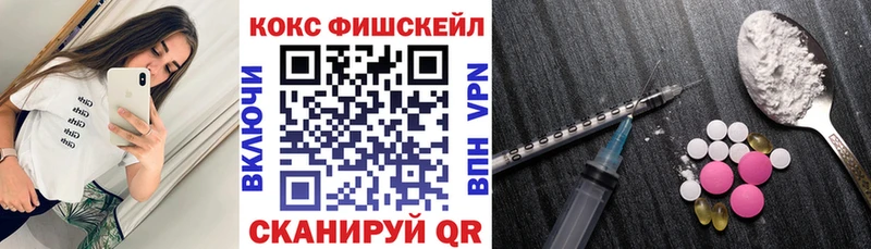 где купить наркоту  ОМГ ОМГ маркетплейс  КОКАИН 99%  Купино 