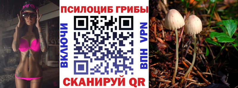 KRAKEN зеркало  как найти   Купино  Галлюциногенные грибы прущие грибы 