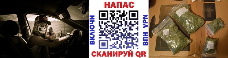 OMG как войти  Купино  Бошки марихуана семена 
